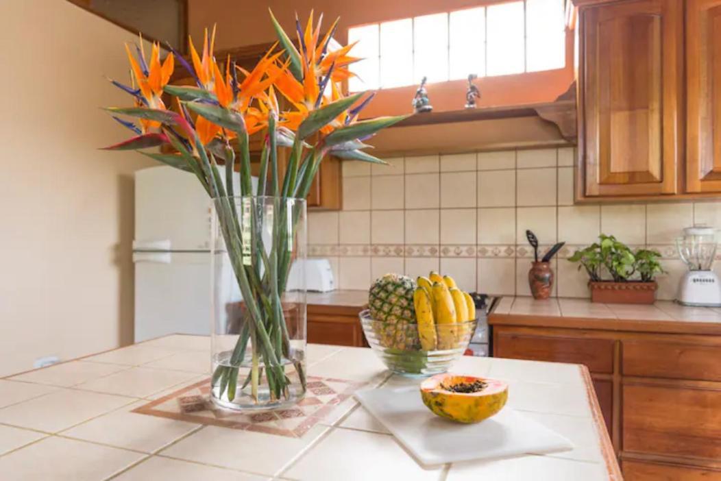 Coffee Garden Ranch Costa Rica Apartment Concepcion  Exterior photo